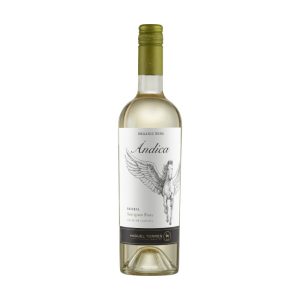 Andica Reserva Sauvignon Blanc bottle