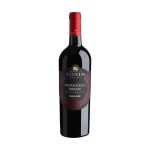 Zonin Valpolicella Ripasso DOC bottle